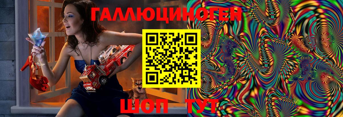 Галлюциногенные грибы Psilocybine cubensis Партизанск