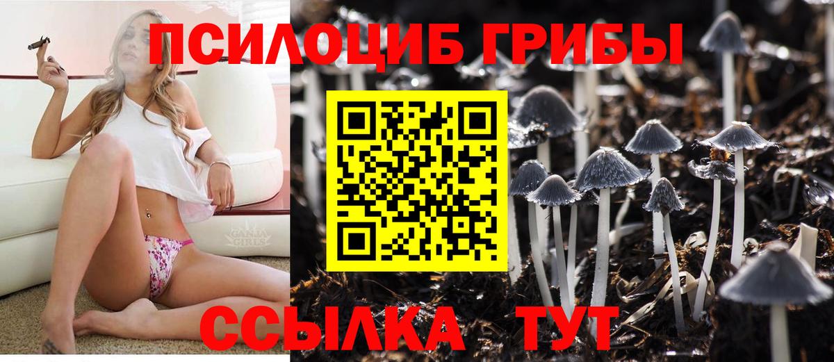 Галлюциногенные грибы Magic Shrooms  Вход с VPN  Партизанск  Псилоцибиновые грибы мицелий 